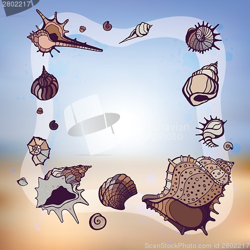 Image of Frame of seashells.