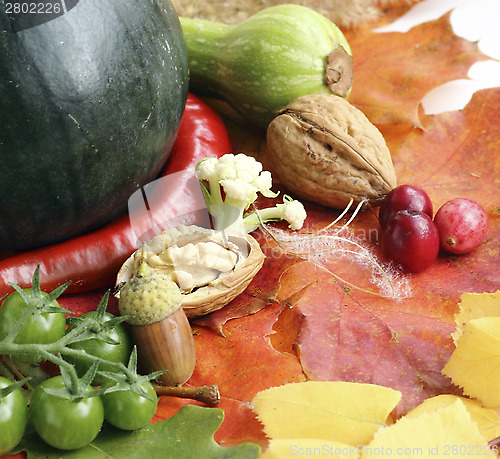 Image of Autumn composition 