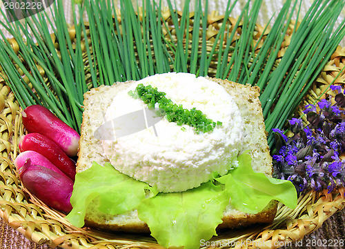 Image of Cheese appetizer with bread wheat 