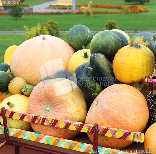 Image of  Pumpkin carriage