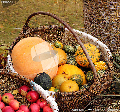 Image of Pumpkin basket 