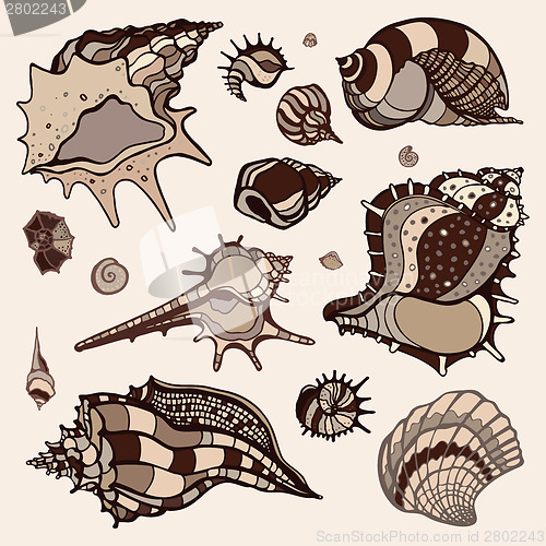 Image of Sea shells set.