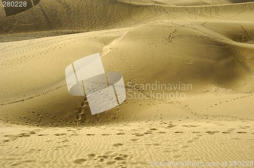 Image of Foot prints in sand