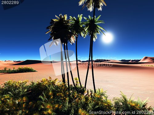 Image of African oasis