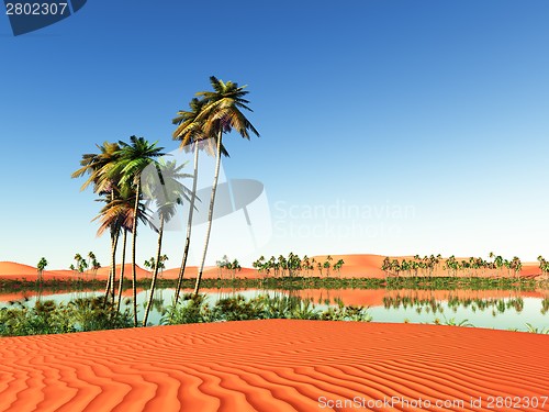 Image of African oasis