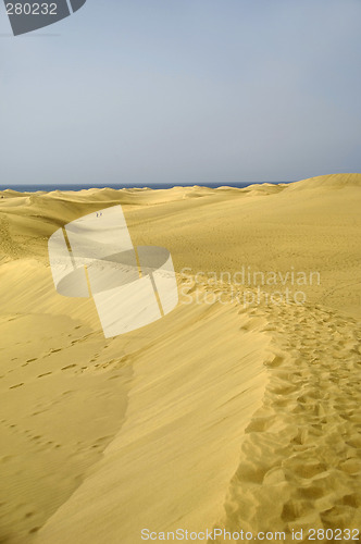 Image of Sand dunes