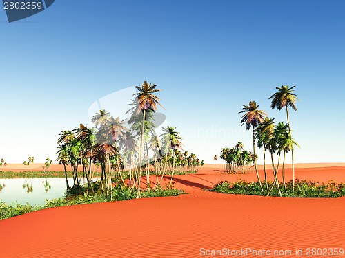 Image of African oasis