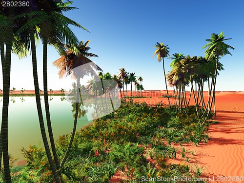 Image of African oasis