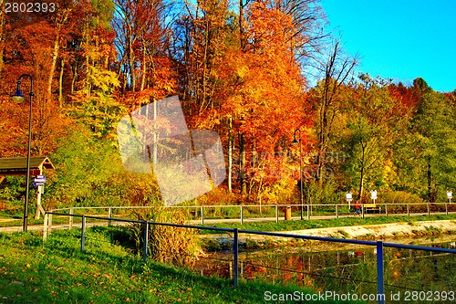 Image of Pond by the forest