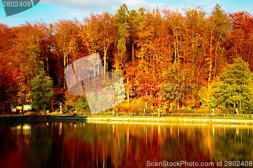 Image of Pond by the forest