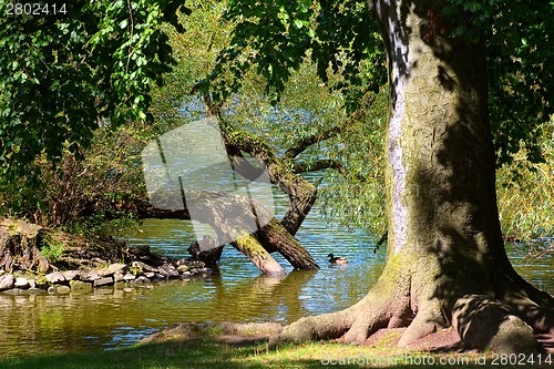 Image of Park in autumn time