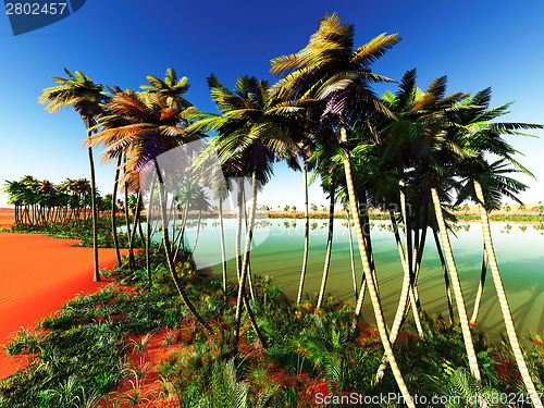 Image of African oasis