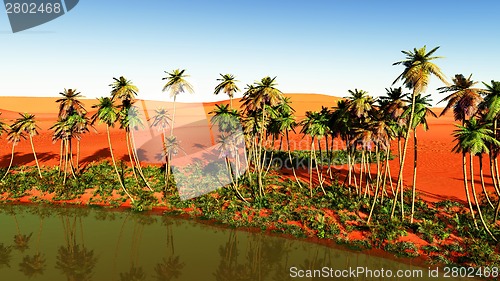 Image of oasis