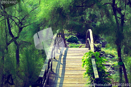 Image of Traditional japanese bridge