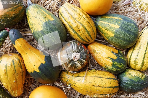 Image of Pumpkins