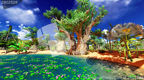 Image of African baobabs
