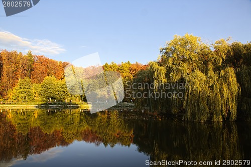 Image of Park in autumn time