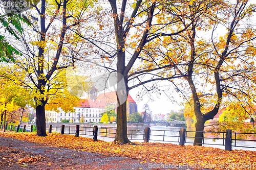 Image of Autumnal scenery in Wroclaw, Poland