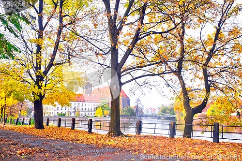 Image of Autumnal scenery in Wroclaw, Poland