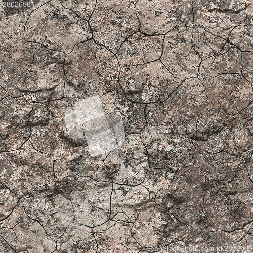 Image of Crackled soil background