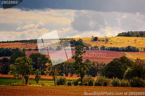 Image of Typical Polish landscape