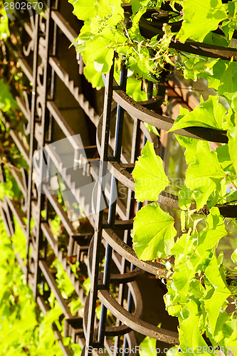 Image of Barred window