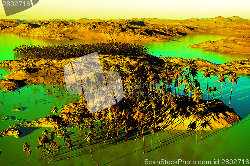 Image of Tropical paradise