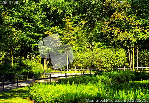 Image of Park in spring time