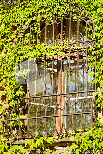 Image of Barred window