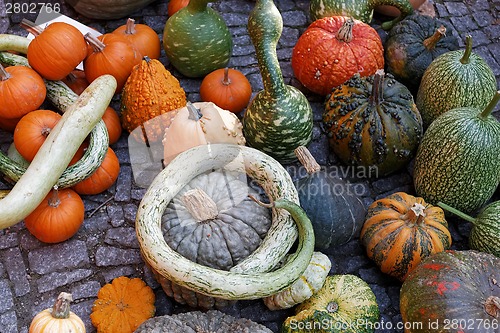 Image of Pumpkins