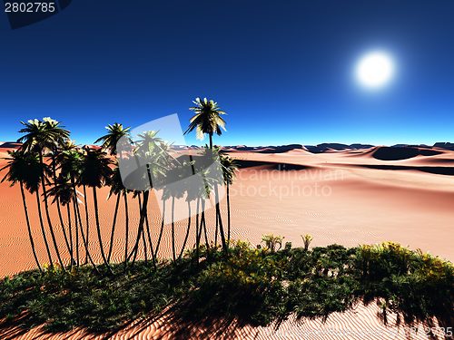 Image of African oasis