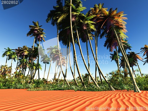 Image of African oasis