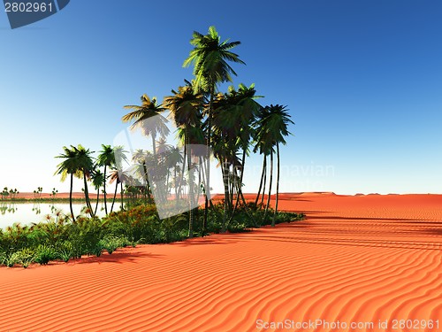 Image of African oasis