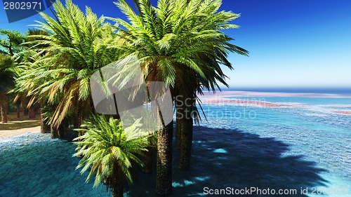 Image of Beautiful natural background