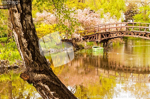 Image of Japanese garden