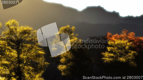Image of in the mountains