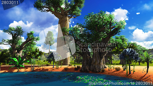 Image of African baobabs