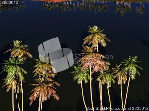 Image of African oasis