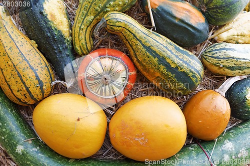 Image of Pumpkins