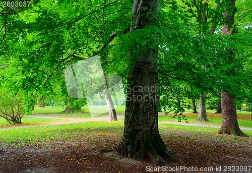 Image of Park in autumn time