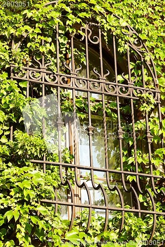 Image of Barred window