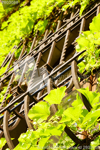 Image of Barred window