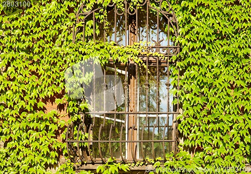 Image of Barred window