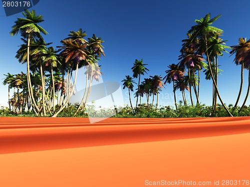 Image of African oasis