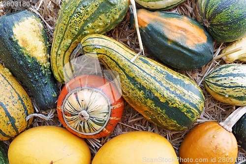 Image of Pumpkins