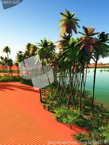 Image of oasis