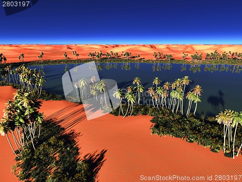 Image of African oasis