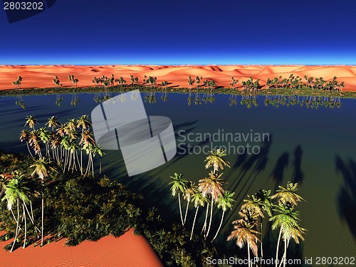 Image of African oasis
