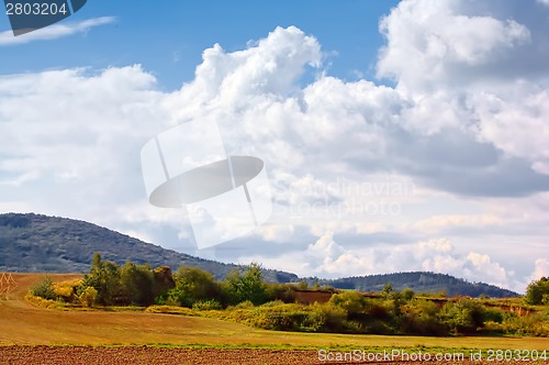 Image of Typical Polish landscape