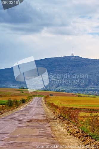 Image of Rural scenery